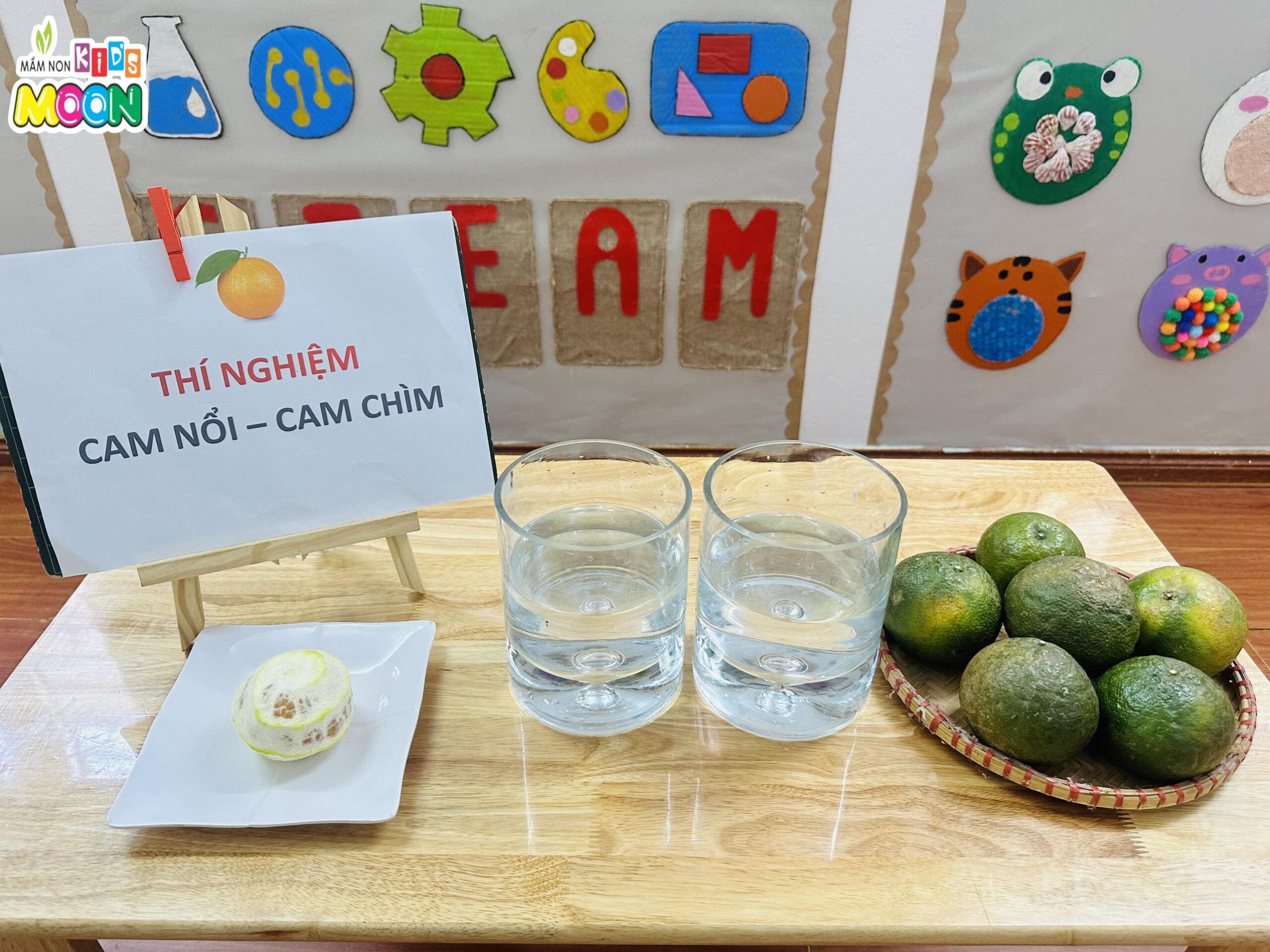 THÍ NGHIỆM: SỰ CHÌM NỔI CỦA QUẢ CAM - Mầm Non Kid's Moon