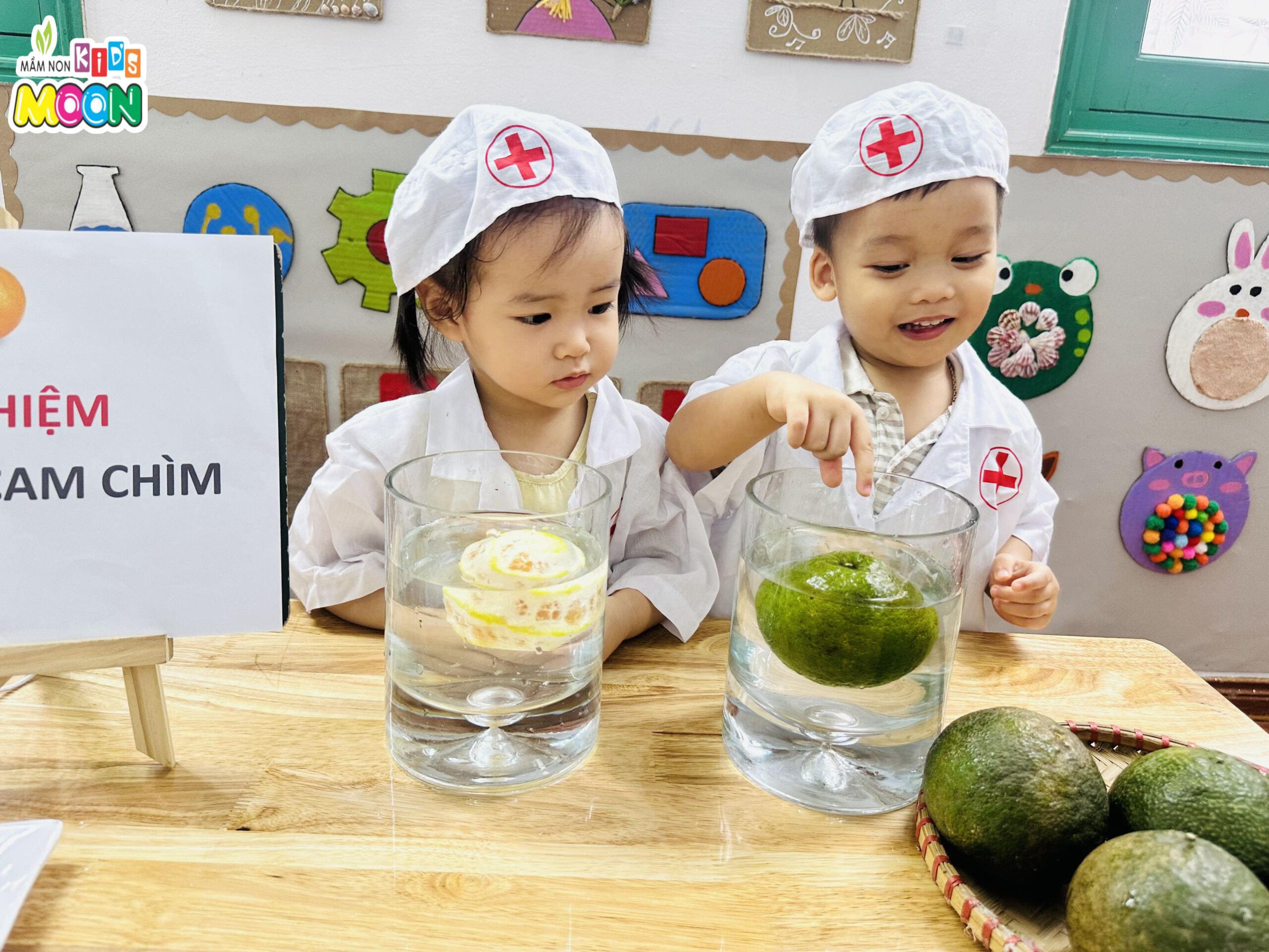 THÍ NGHIỆM: SỰ CHÌM NỔI CỦA QUẢ CAM - Mầm Non Kid's Moon