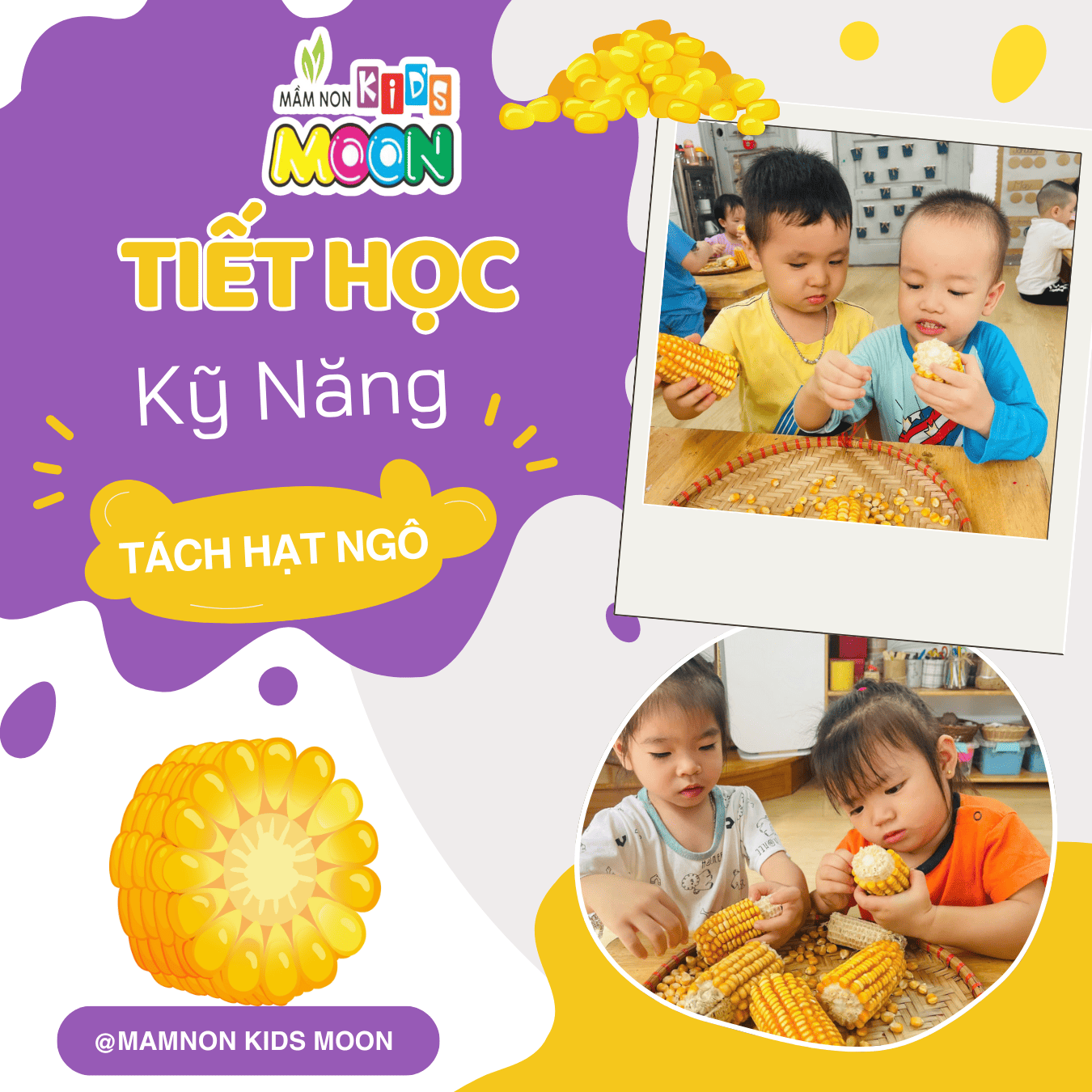 KỸ NĂNG: “TÁCH HẠT NGÔ” - Mầm Non Kid's Moon