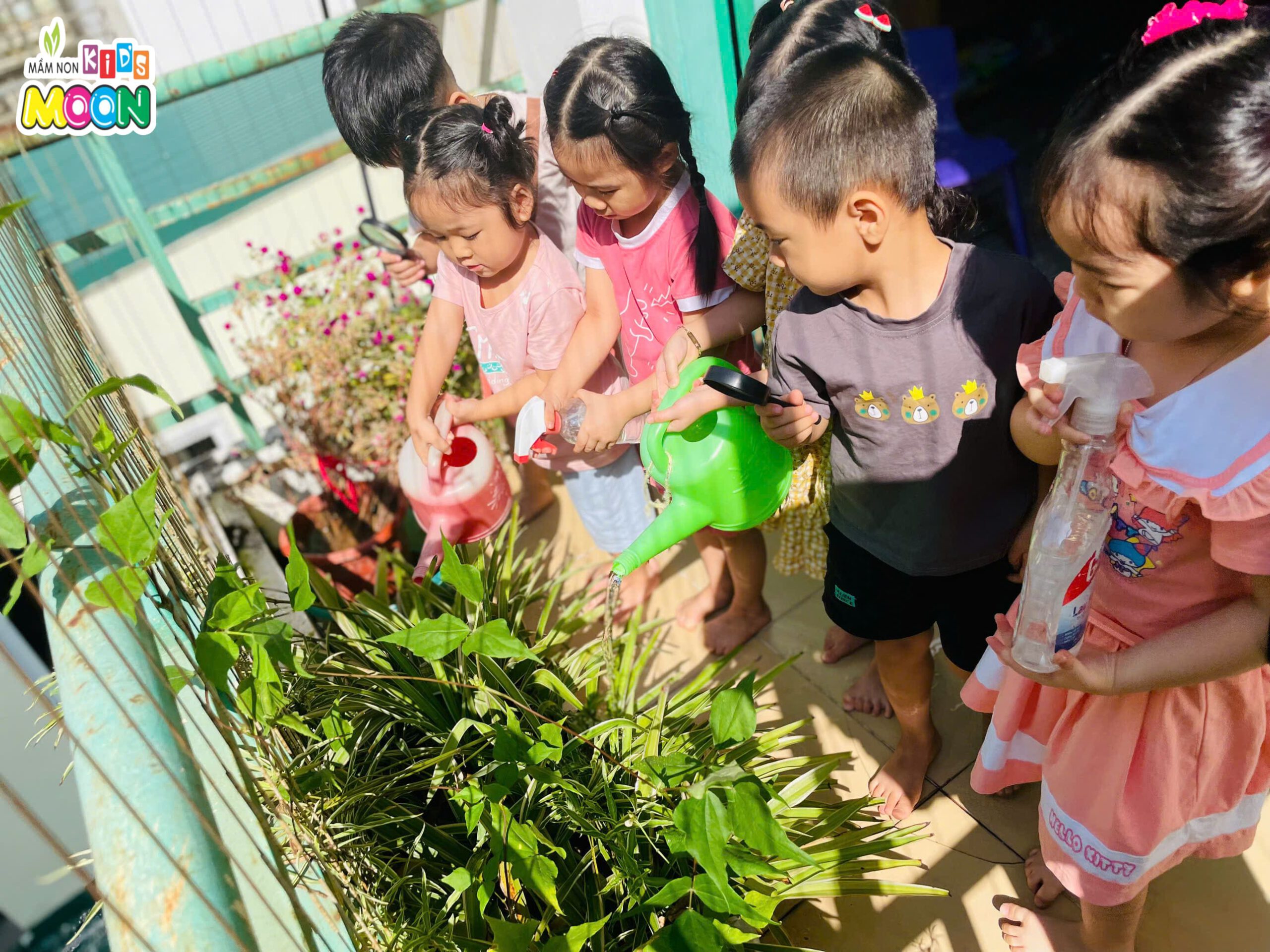 BÉ QUAN SÁT VÀ CHĂM SÓC CÂY HOA - Mầm Non Kid's Moon