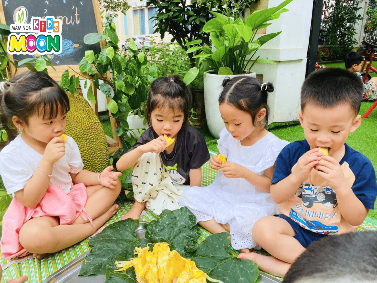 KHÁM PHÁ QUẢ MÍT – TIẾT HỌC TRẢI NGHIỆM THƠM NGON VÀ BỔ ÍCH - Mầm Non Kid's Moon