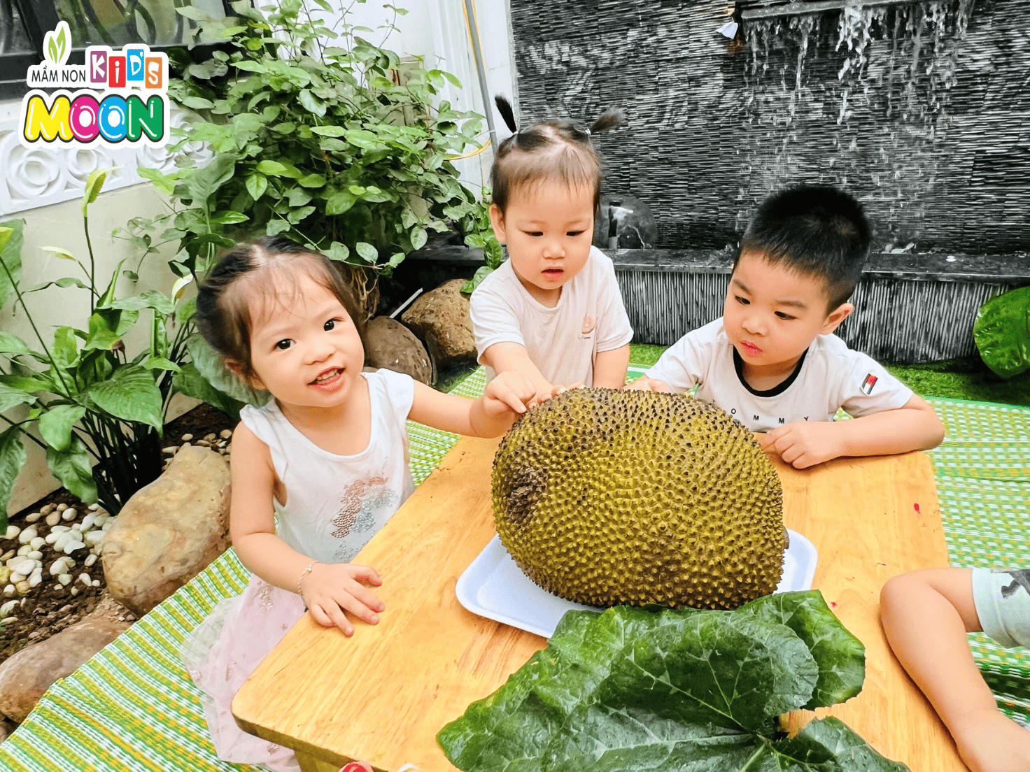 KHÁM PHÁ QUẢ MÍT – TIẾT HỌC TRẢI NGHIỆM THƠM NGON VÀ BỔ ÍCH - Mầm Non Kid's Moon