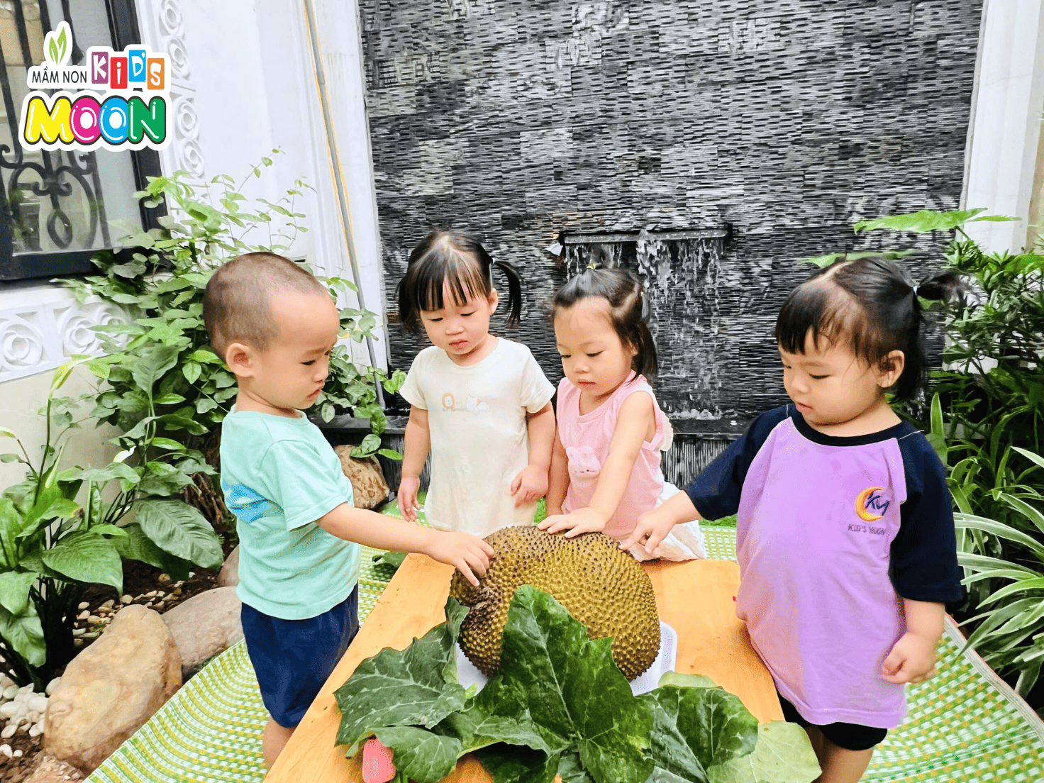 KHÁM PHÁ QUẢ MÍT – TIẾT HỌC TRẢI NGHIỆM THƠM NGON VÀ BỔ ÍCH - Mầm Non Kid's Moon