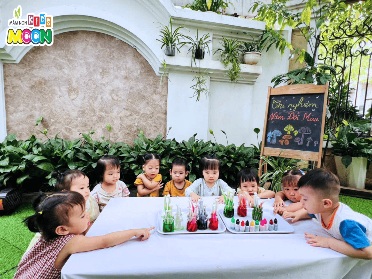 THÍ NGHIỆM “CÂY NẤM SẮC MÀU” – KHI PHÉP MÀU KHOA HỌC LÊN NGÔI! THÍ NGHIỆM “CÂY NẤM SẮC MÀU” – KHI PHÉP MÀU KHOA HỌC LÊN NGÔI! - Mầm Non Kid's Moon