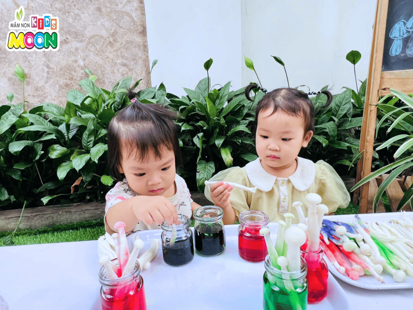 THÍ NGHIỆM “CÂY NẤM SẮC MÀU” – KHI PHÉP MÀU KHOA HỌC LÊN NGÔI! THÍ NGHIỆM “CÂY NẤM SẮC MÀU” – KHI PHÉP MÀU KHOA HỌC LÊN NGÔI! - Mầm Non Kid's Moon