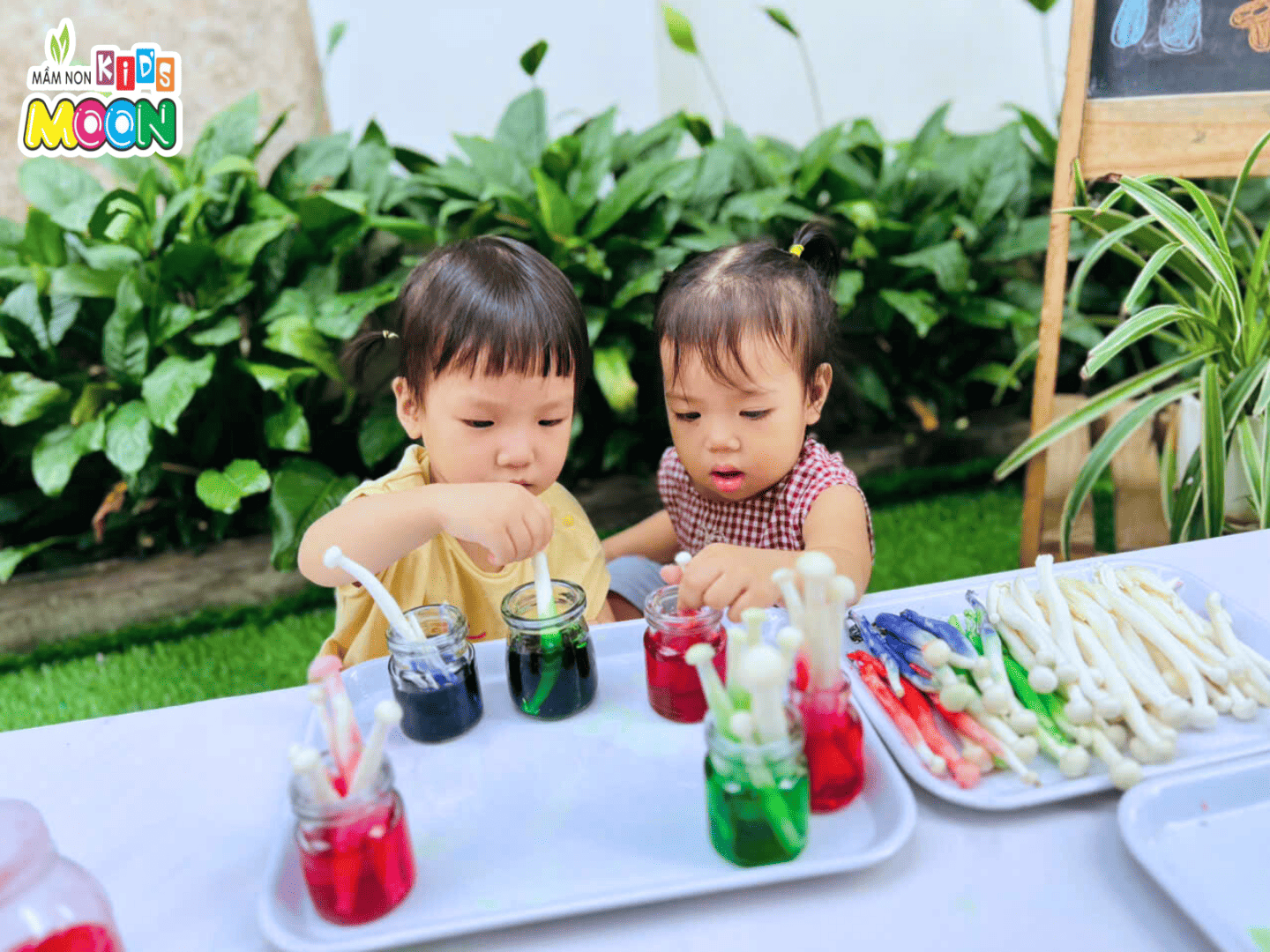 THÍ NGHIỆM “CÂY NẤM SẮC MÀU” – KHI PHÉP MÀU KHOA HỌC LÊN NGÔI! THÍ NGHIỆM “CÂY NẤM SẮC MÀU” – KHI PHÉP MÀU KHOA HỌC LÊN NGÔI! - Mầm Non Kid's Moon