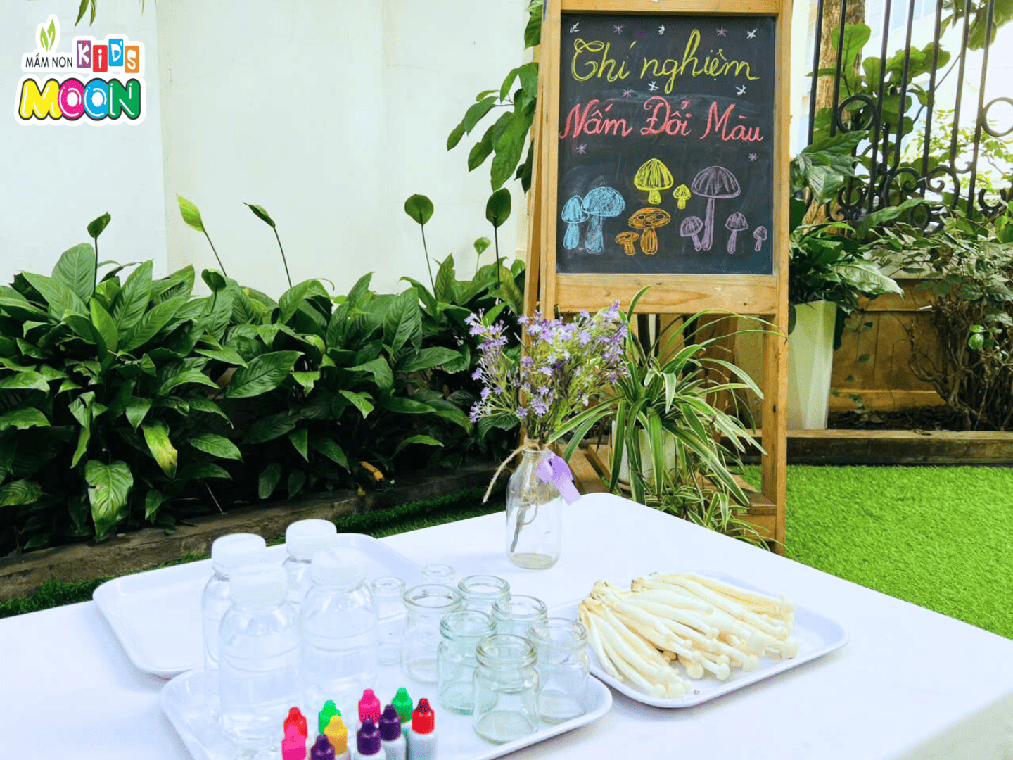 THÍ NGHIỆM “CÂY NẤM SẮC MÀU” – KHI PHÉP MÀU KHOA HỌC LÊN NGÔI! - Mầm Non Kid's Moon