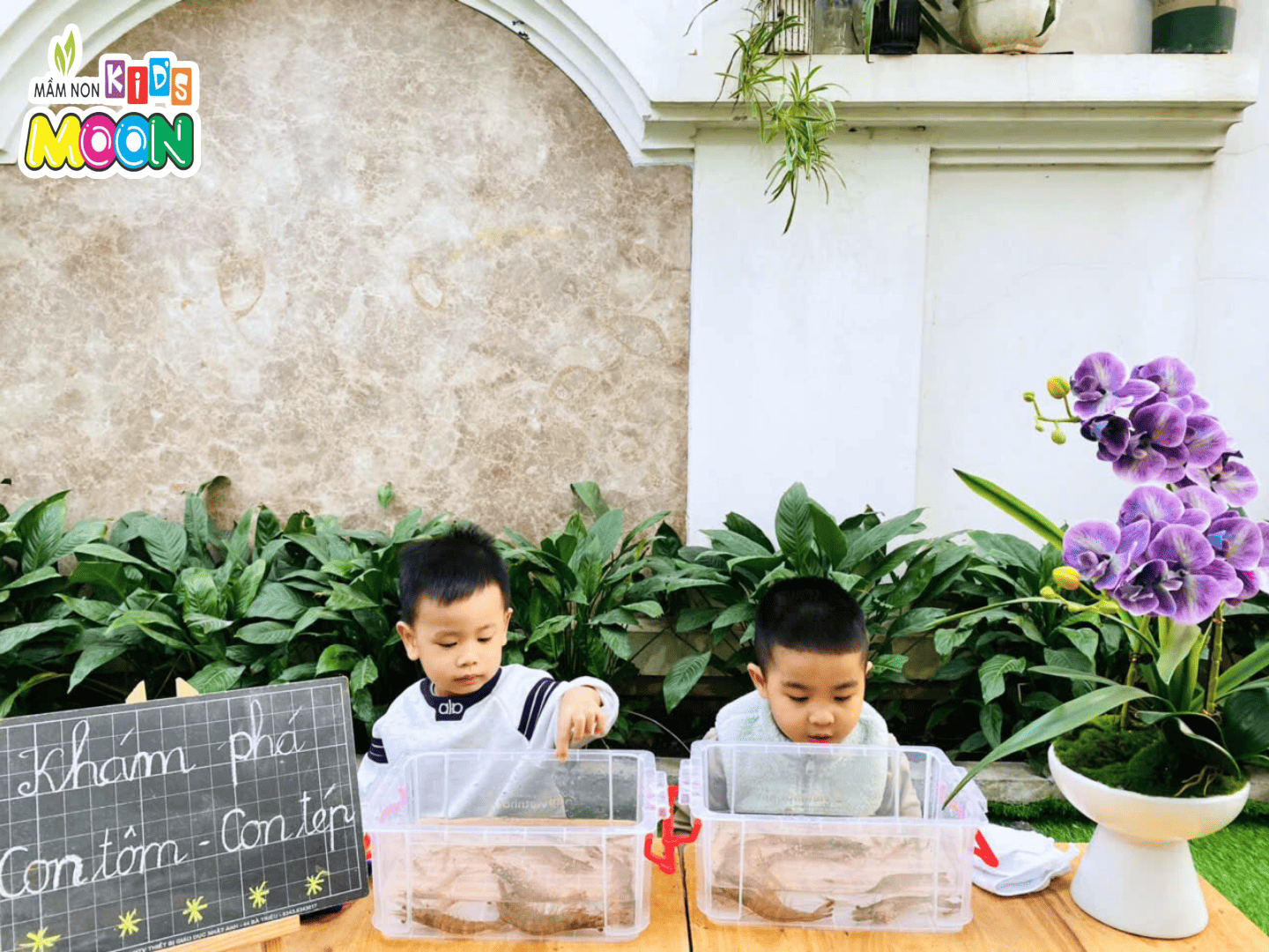 TIẾT HỌC NHẬN BIẾT – KHÁM PHÁ “CON TÔM, CON TÉP” TIẾT HỌC NHẬN BIẾT – KHÁM PHÁ “CON TÔM, CON TÉP” - Mầm Non Kid's Moon