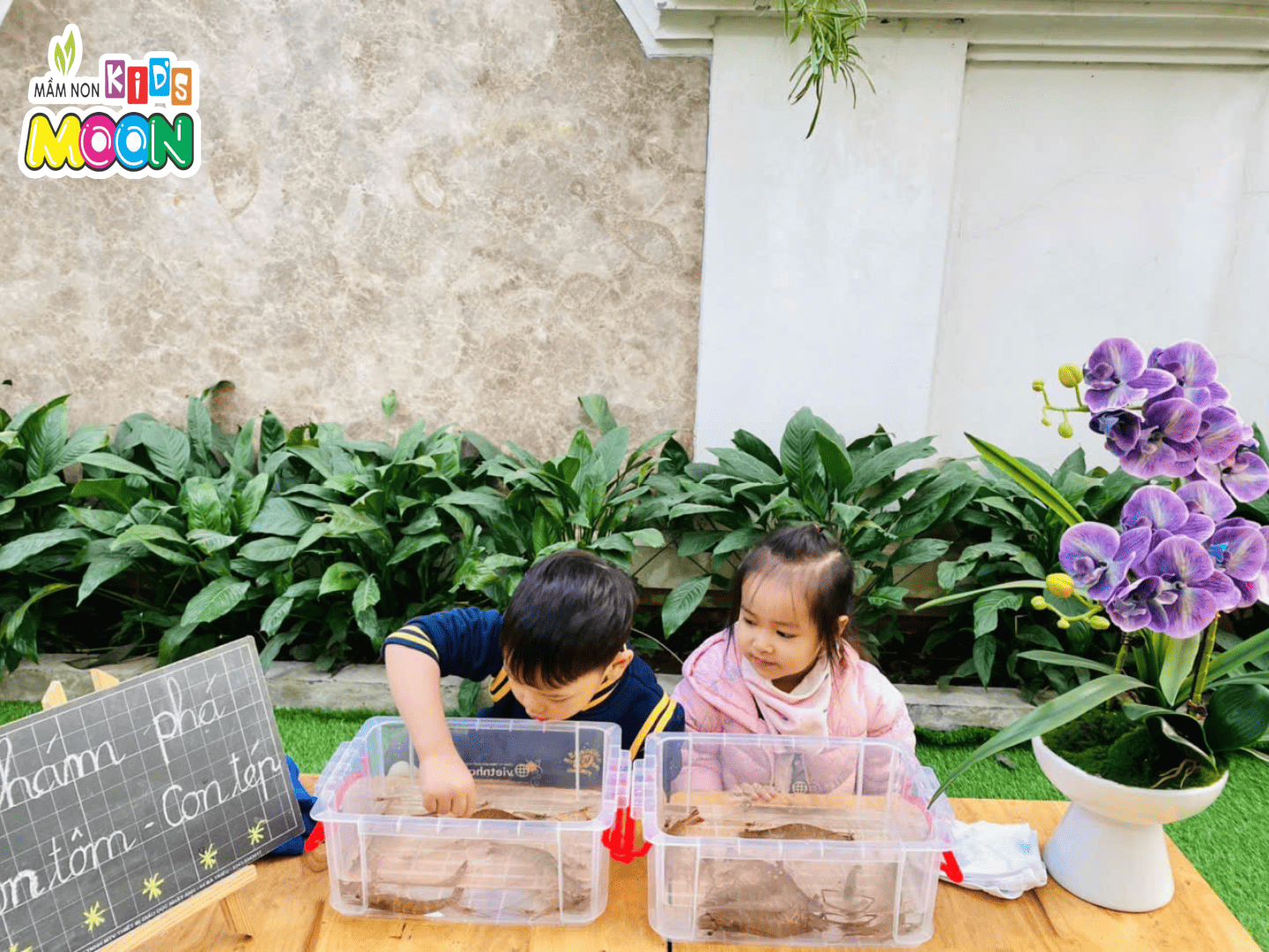 TIẾT HỌC NHẬN BIẾT – KHÁM PHÁ “CON TÔM, CON TÉP” TIẾT HỌC NHẬN BIẾT – KHÁM PHÁ “CON TÔM, CON TÉP” - Mầm Non Kid's Moon