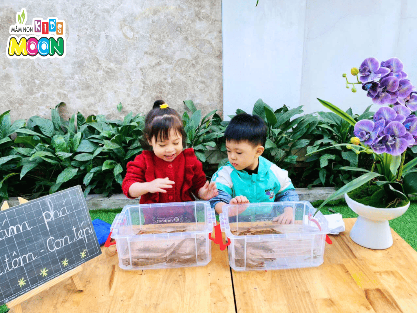 TIẾT HỌC NHẬN BIẾT – KHÁM PHÁ “CON TÔM, CON TÉP” TIẾT HỌC NHẬN BIẾT – KHÁM PHÁ “CON TÔM, CON TÉP” - Mầm Non Kid's Moon