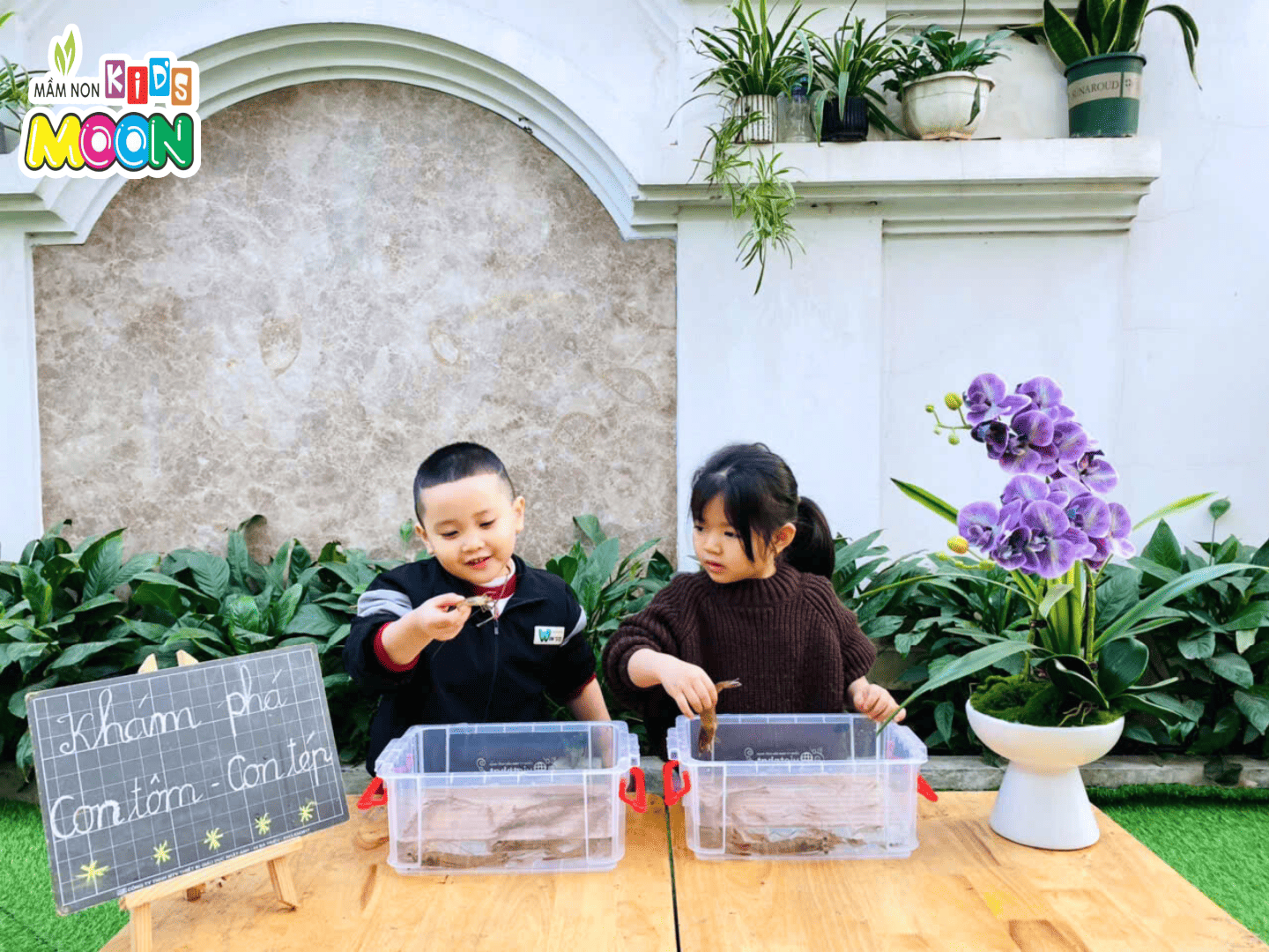 TIẾT HỌC NHẬN BIẾT – KHÁM PHÁ “CON TÔM, CON TÉP” TIẾT HỌC NHẬN BIẾT – KHÁM PHÁ “CON TÔM, CON TÉP” - Mầm Non Kid's Moon