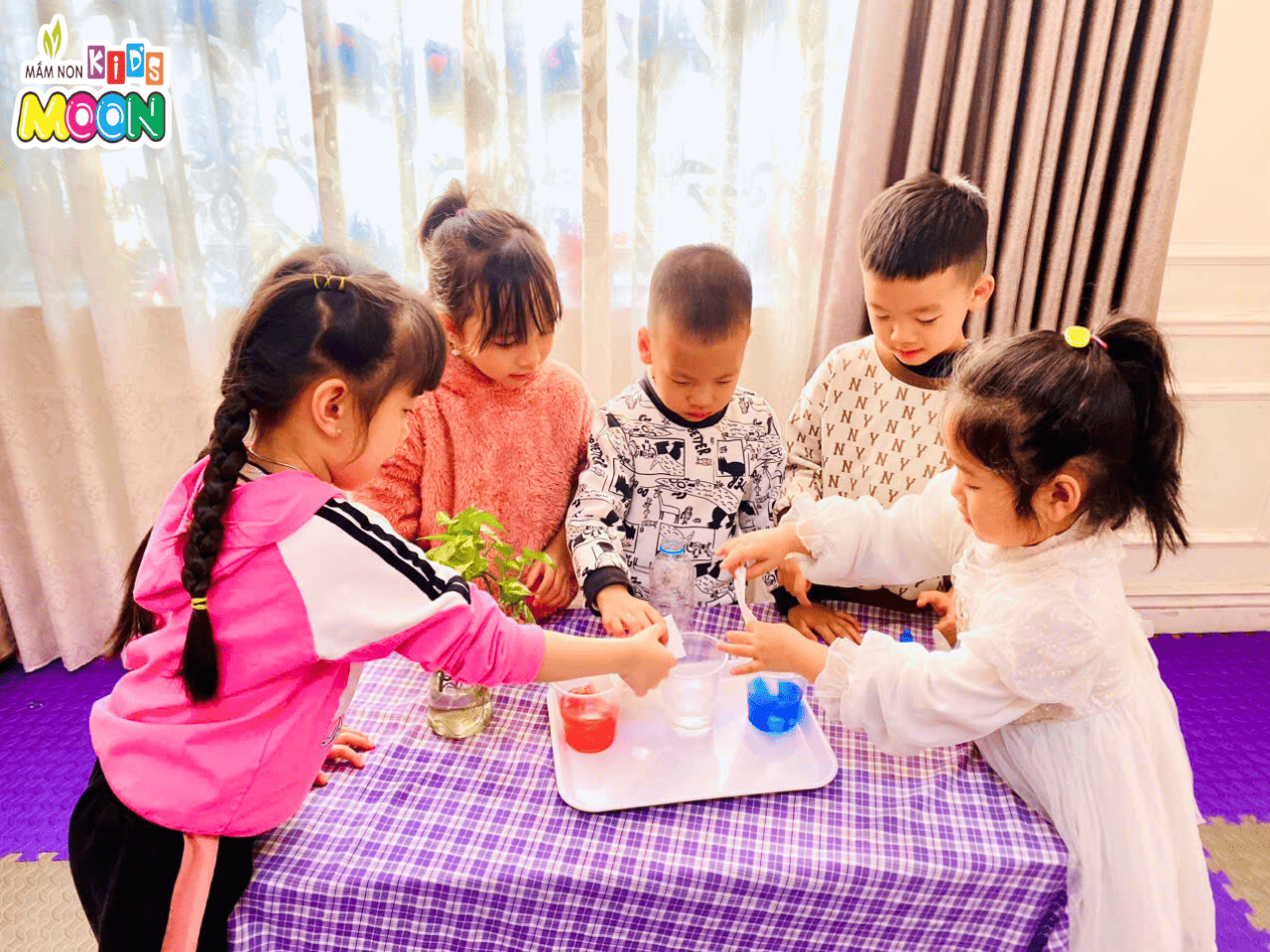 TIẾT THÍ NGHIỆM: SỰ THẤM HÚT CHUYỂN NƯỚC KỲ DIỆU TỪ GIẤY ĂN TIẾT THÍ NGHIỆM: SỰ THẤM HÚT CHUYỂN NƯỚC KỲ DIỆU TỪ GIẤY ĂN - Mầm Non Kid's Moon