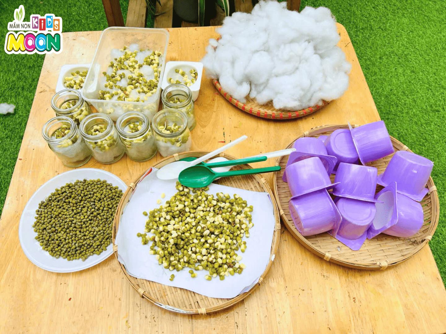 TIẾT HỌC STEAM: NHỮNG MẦM CÂY XINH - Mầm Non Kid's Moon