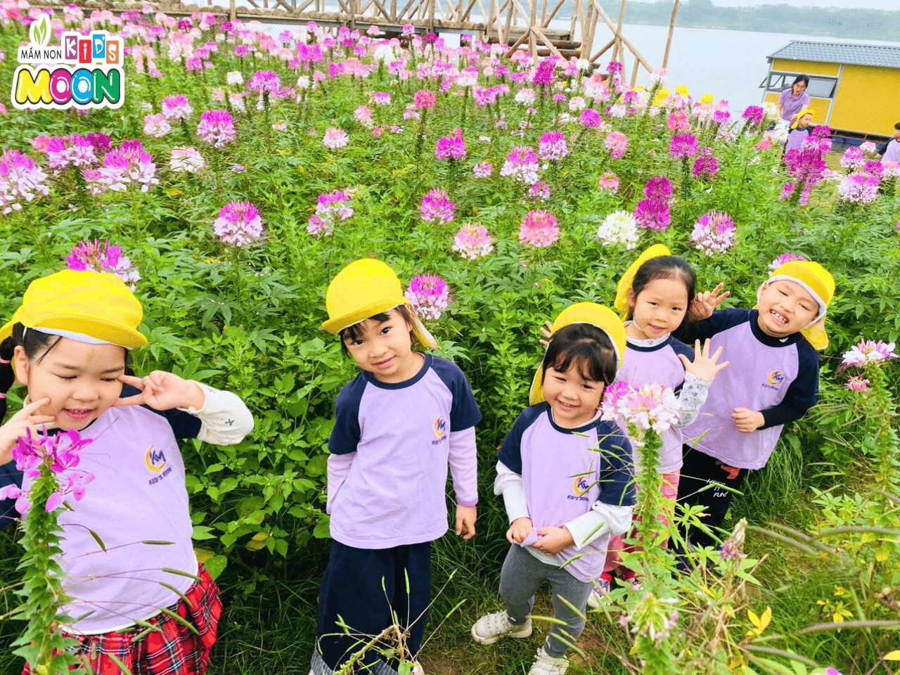 CÁC BẠN NHỎ KID’S MOON KHÁM PHÁ NÔNG TRẠI “VƯỜN NHÀ BÀ” CÁC BẠN NHỎ KID’S MOON KHÁM PHÁ NÔNG TRẠI “VƯỜN NHÀ BÀ” - Mầm Non Kid's Moon