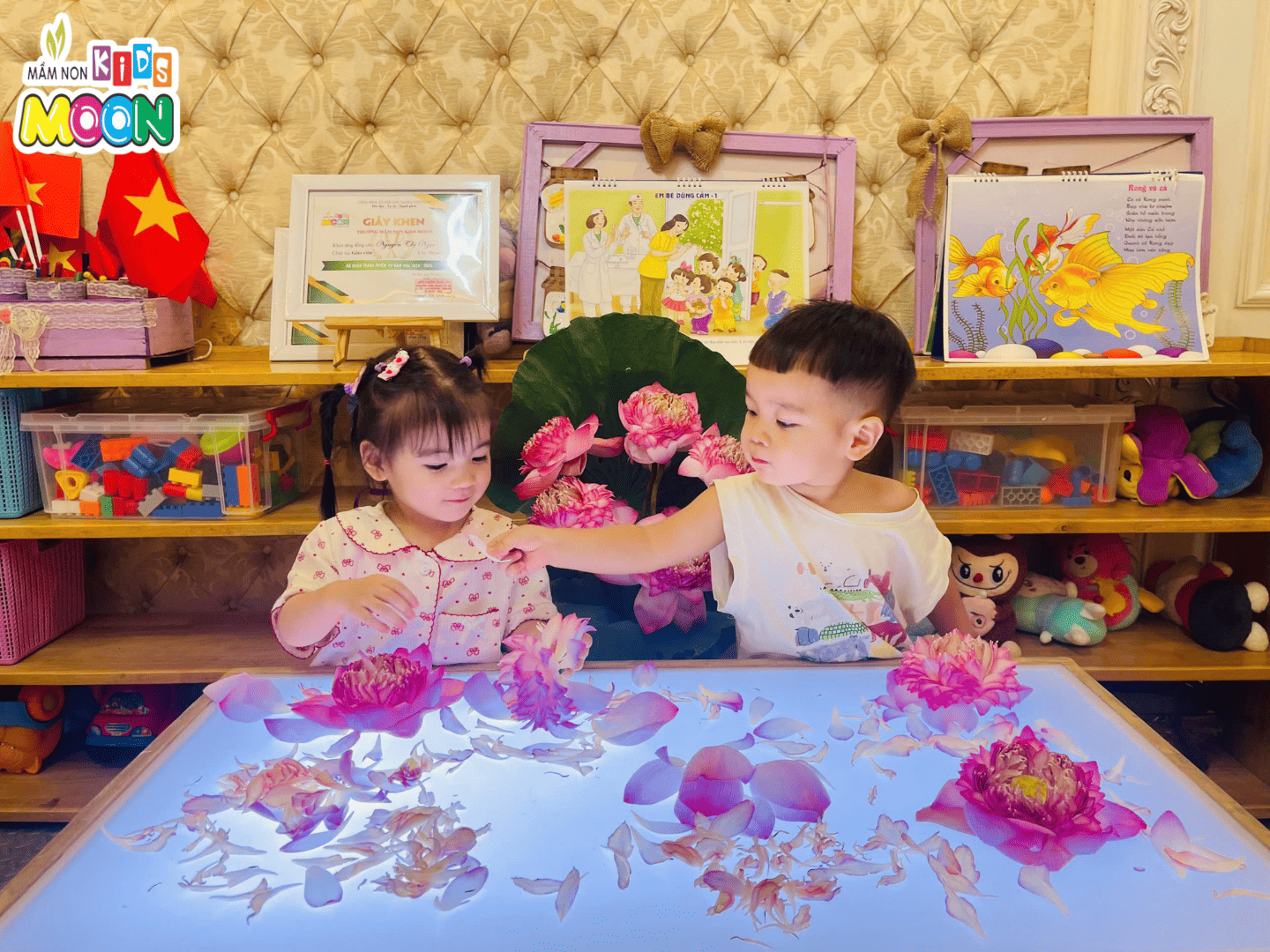 KHÁM PHÁ HOA SEN KHÁM PHÁ HOA SEN - Mầm Non Kid's Moon