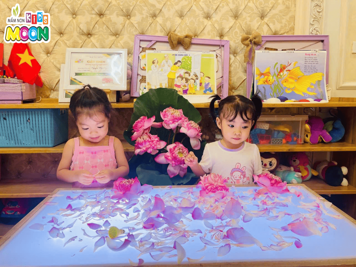 KHÁM PHÁ HOA SEN KHÁM PHÁ HOA SEN - Mầm Non Kid's Moon