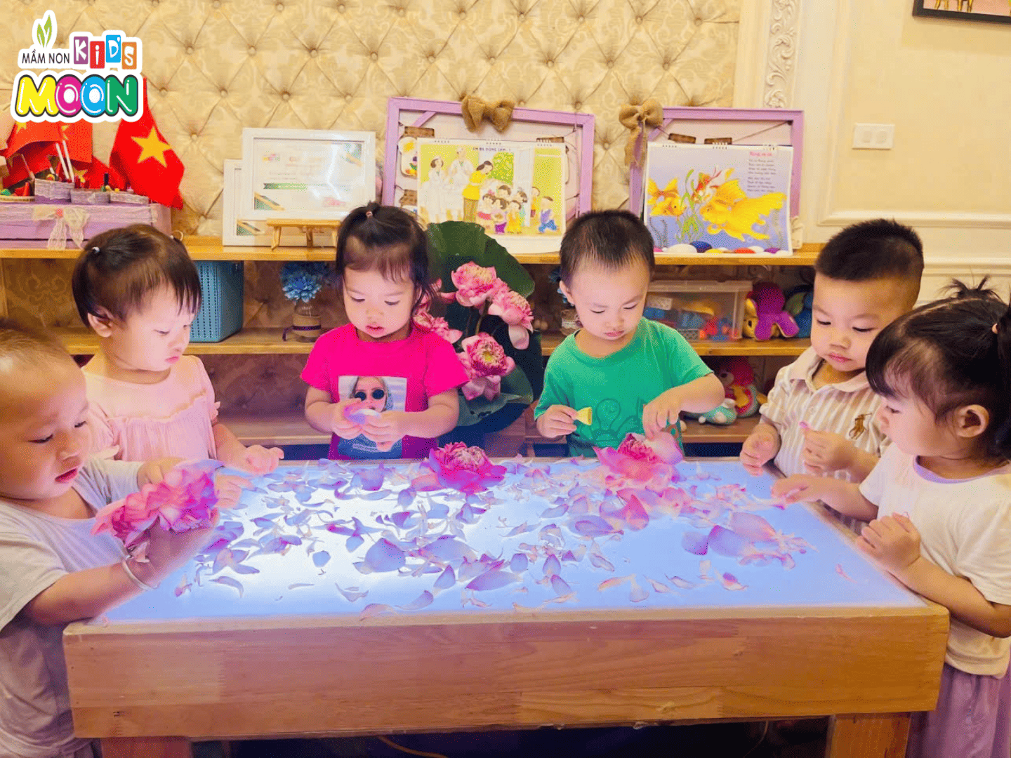 KHÁM PHÁ HOA SEN KHÁM PHÁ HOA SEN - Mầm Non Kid's Moon